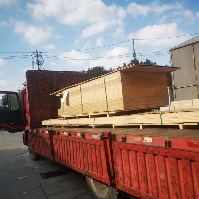 陇南到河北物流公司——一站式服务，让货运更便捷